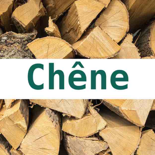 Chêne