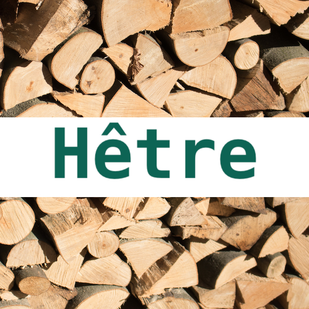 Hêtre